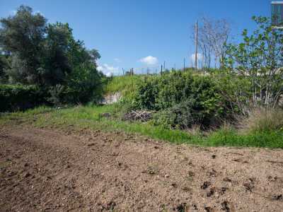 Alla nostra destra invece, nascosti da edera e vegetazione, si celano gli ingressi dell�ipogeo